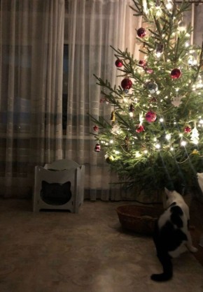 �������������� ����������: ��� ������ ������� � ����� � 2026 ����