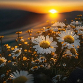 ������ ��� ����� ������ ����: ��������� ������� ���������� ��������