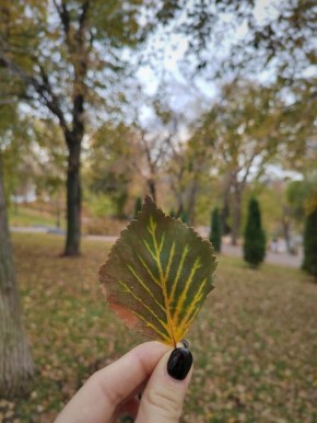 ������ �� ��������� ���� ������������ ��������: ���������� ������ � ��� � ��� ��������