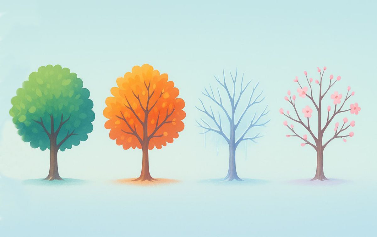 ��� ���� ������� ����� ���� ���������� ��� ��������