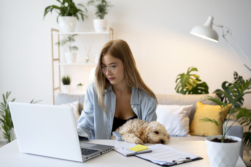 ��������: ������� �������� ������ ��� ������� � ���������