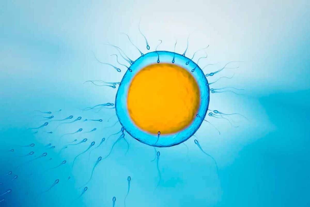 ������������� �����������: ����� ������ � ������ ���