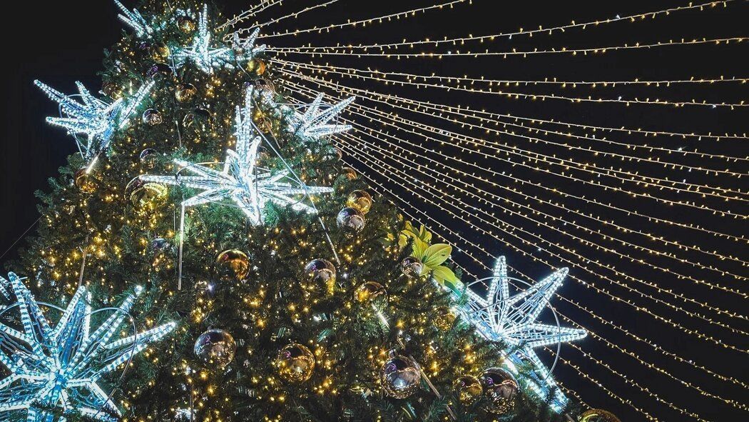 ��� ��������� ���������� ����� � ����������� �����