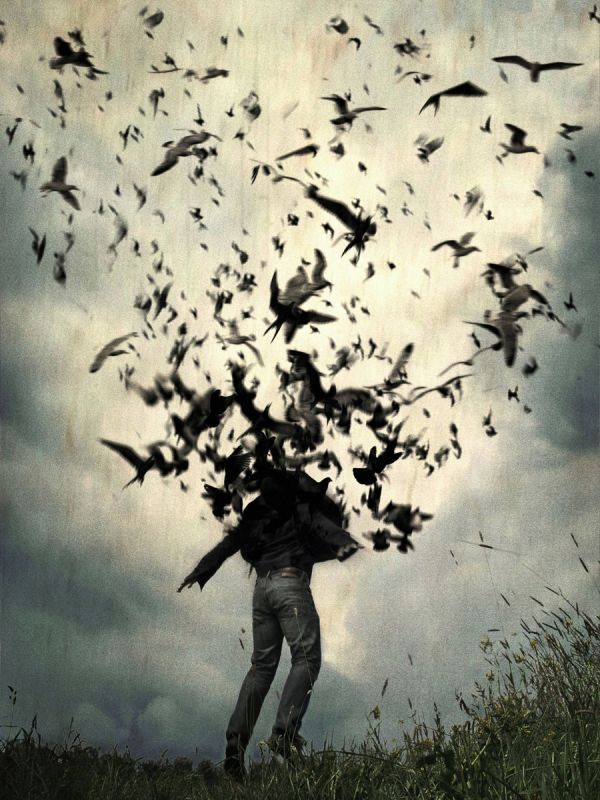 ����������� � ����������: �������� ������