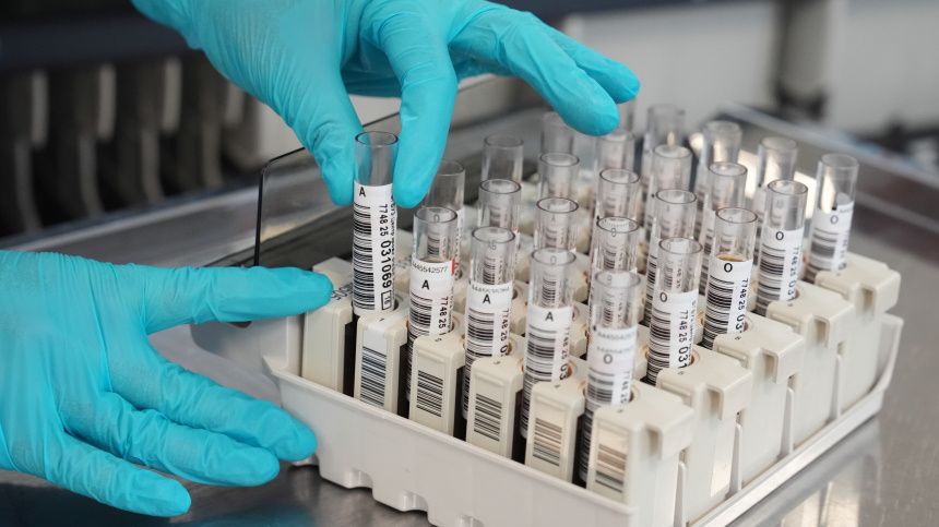 ������ � ��������: ������� ����� ������ ���������