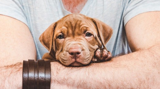 �������� � �� �������: ��� �� ����� ���� ���������� �� ���������� ���������