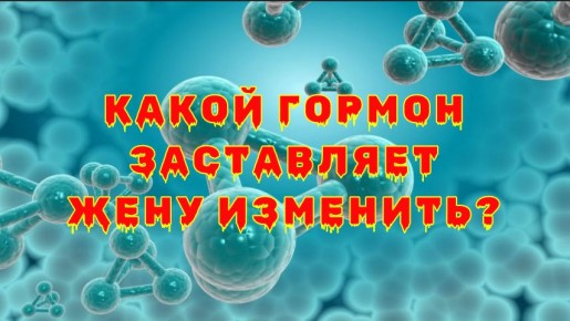 ������� � ������: ��� �������� ������ �� ������� �������?