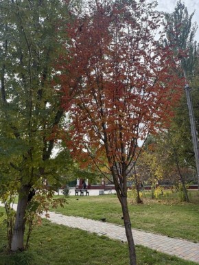 ����� ��� ����� ����������� ���������� � ��������� ����