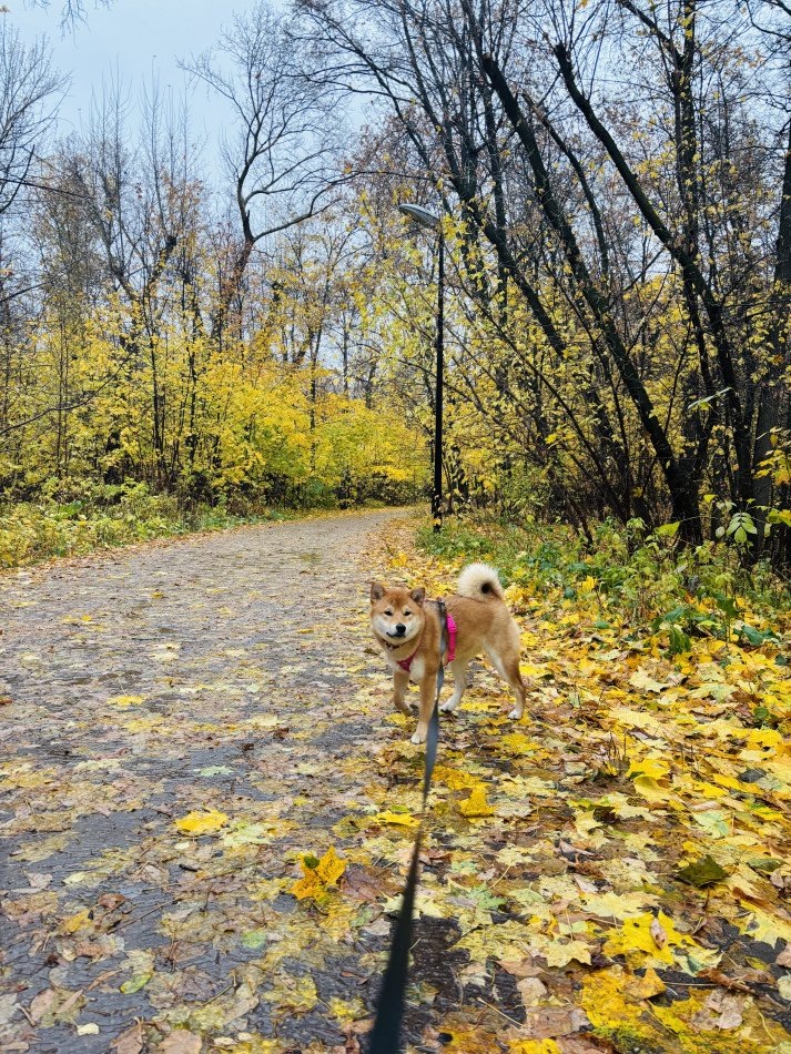 Как распознать и преодолеть стресс в вашей жизни