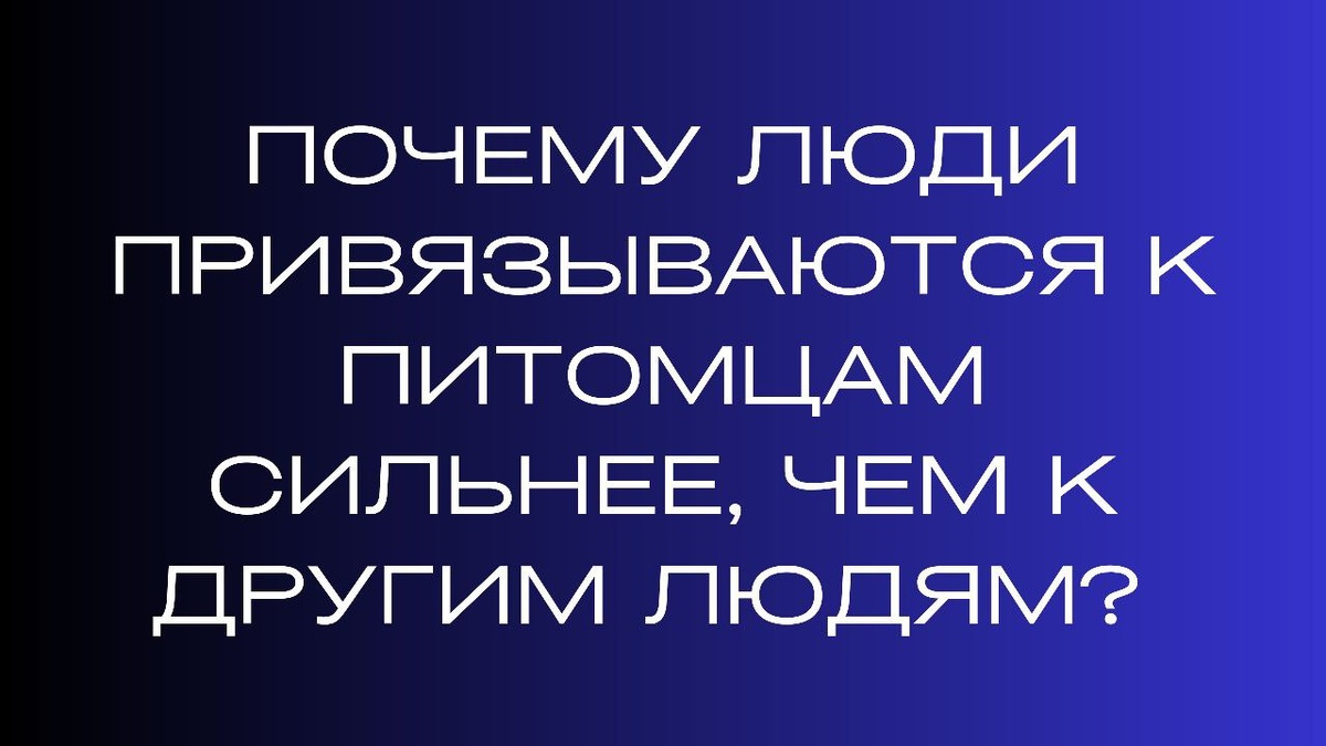 Почему привязанность к питомцам становится сильнее человеческих отношений?