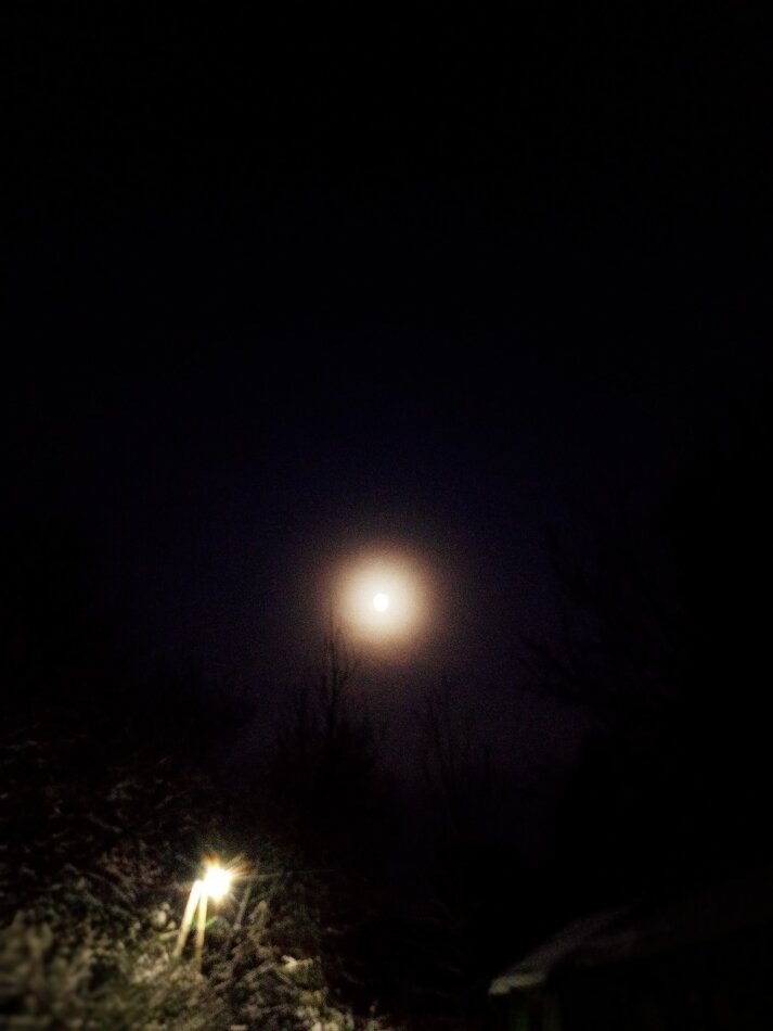 Как начать Новый год с правильной мотивацией