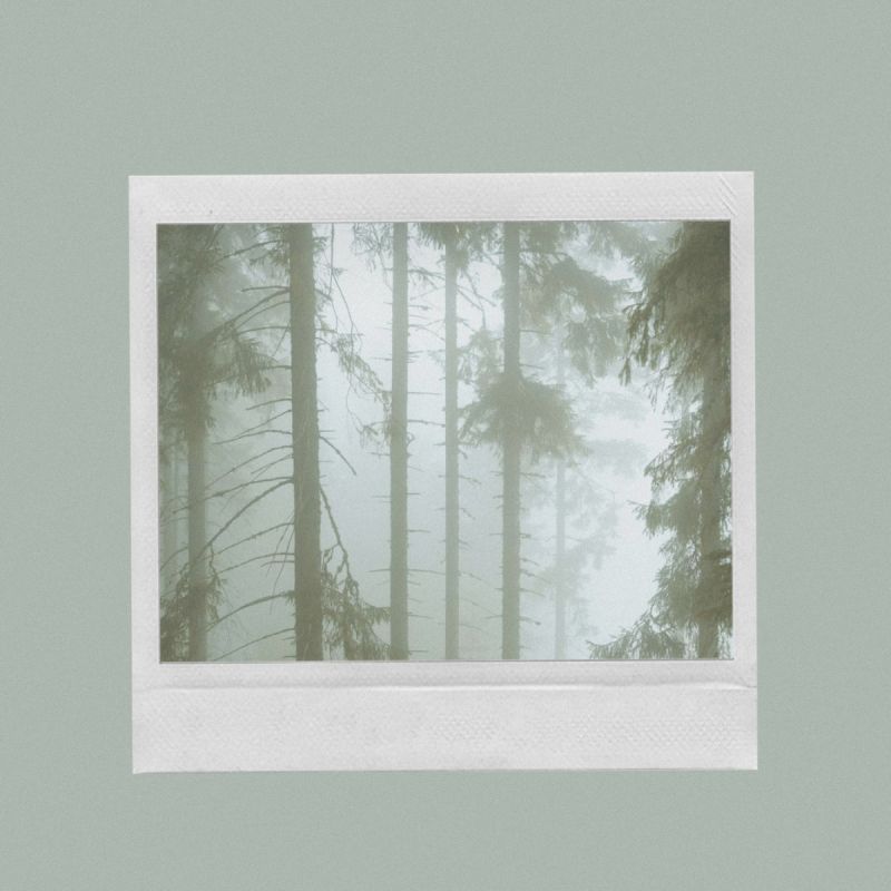 ������ ������� ����������, ����� �� ������� � �������: ������ ����� ������ �����-�������