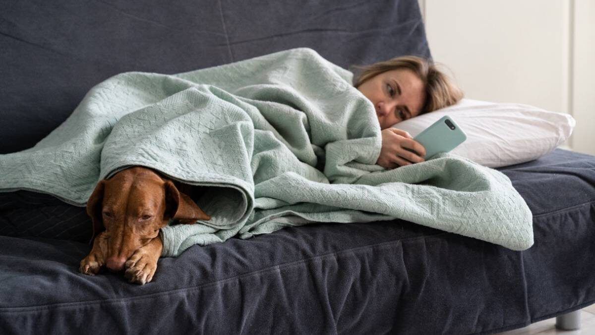 ��������� ������: ������ ����������� ����� ��� ������ �������� ������