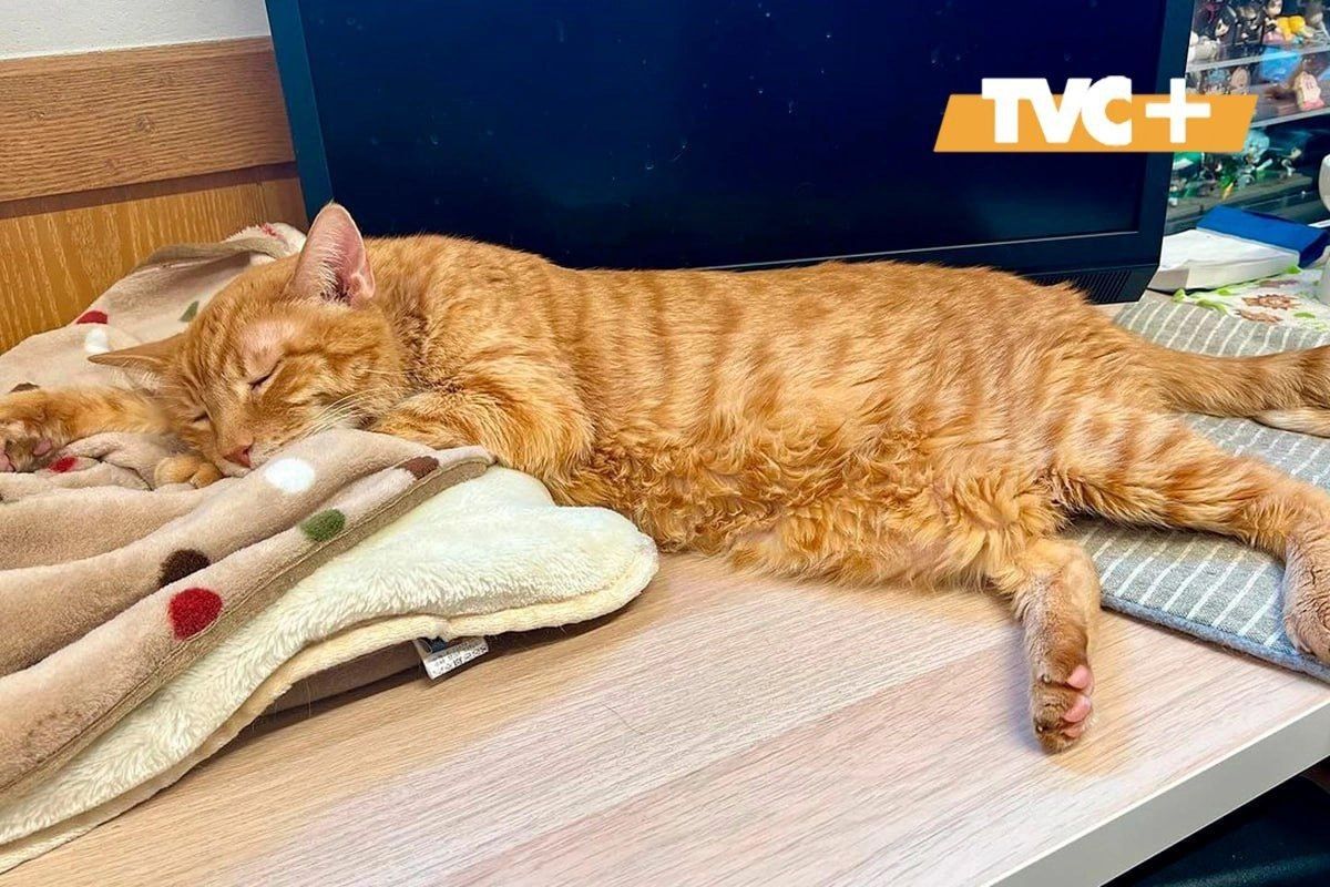 ������� ����: ����� ������ � ��������� ���������� ����