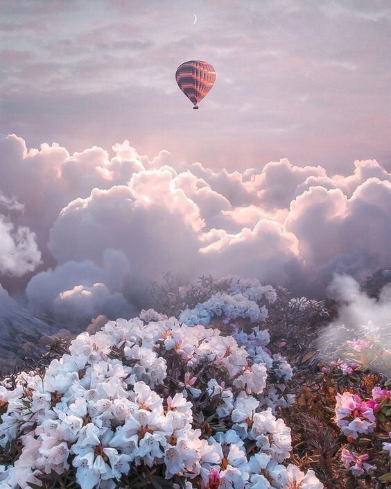 ��� ��� ������� ������ ���� ���������� ����