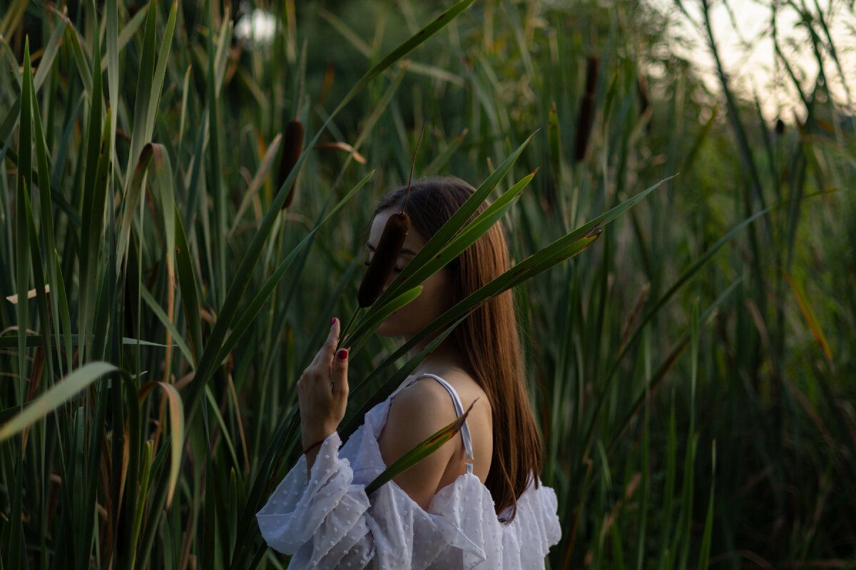 ��� ��������� ����������� � ����������: ������ ��� ���������