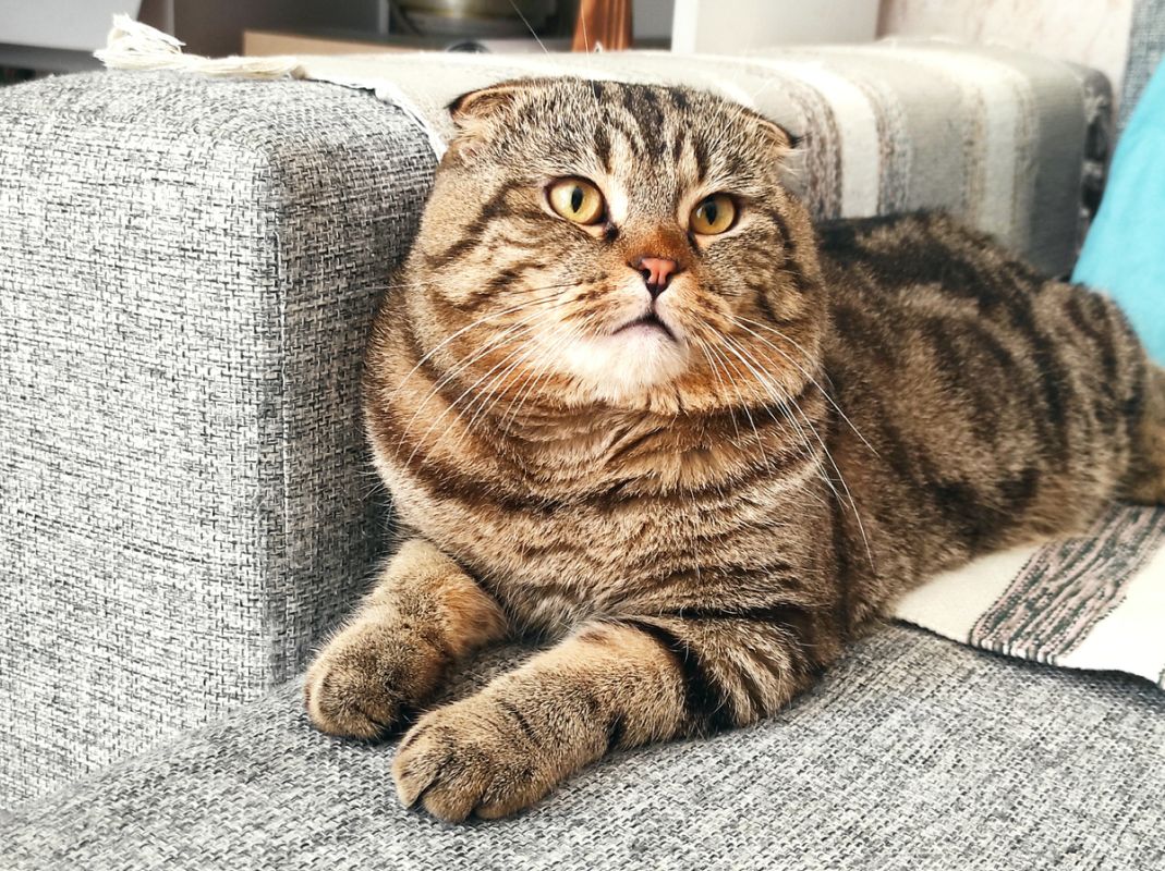 ��� �������� ������������� ���� ������ � ����� �������� ������