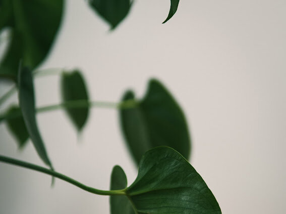 Перфекционизм: Как найти баланс между стремлением к идеалу и реальной жизнью