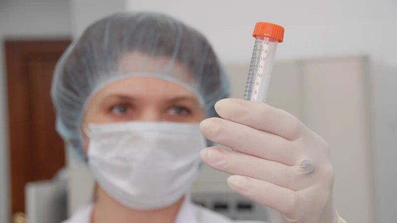 ������ � ������: ��� ��� ������� � ��� � ���� ������