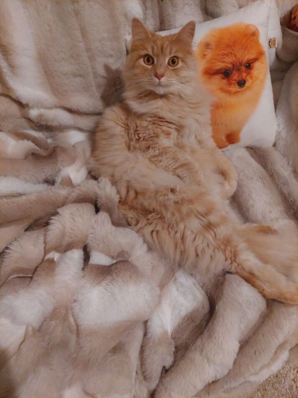 ��� ����� ���� ��������������: ����� �� �����