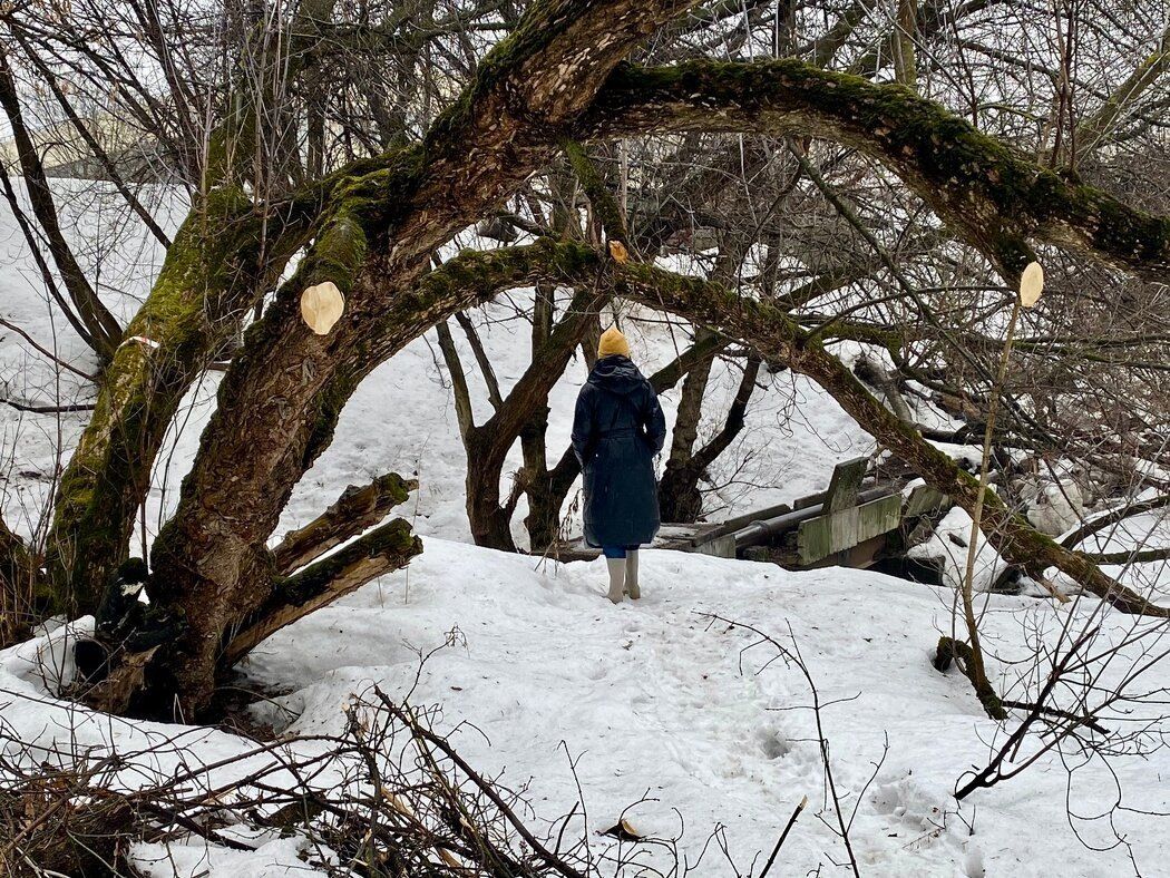 ��� ������ ���������� �������� � ������� ����: ������������ �����������