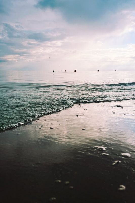 ������ ��� ���� � ����������� �����