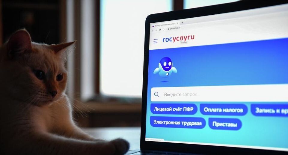 На «Госуслугах» может появиться новый сервис для желающих создать семью