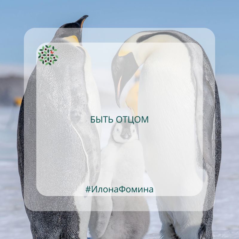 Жертвенная любовь в мире животных