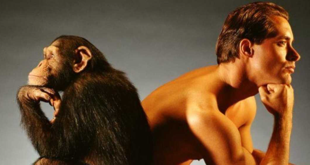 Насколько мужчины правы в своих оправданиях: миф о физической природе или реальность предательства?