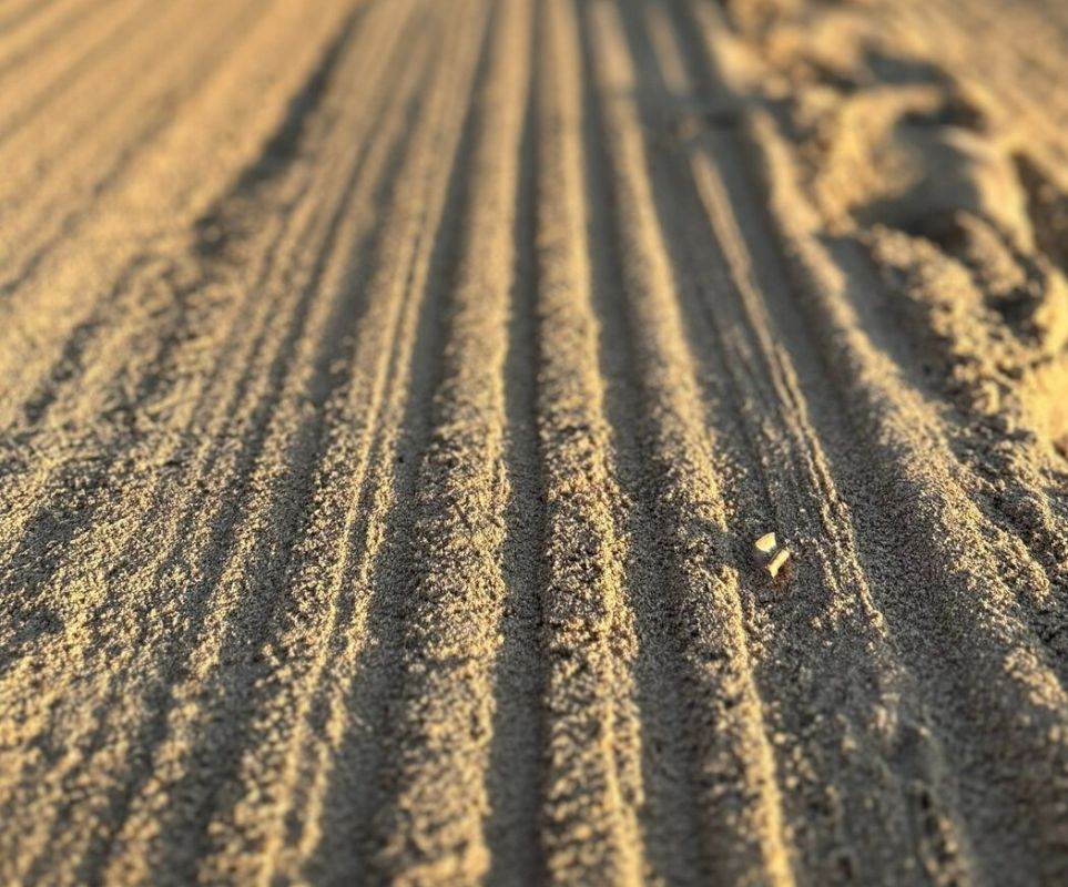 ��������� ���� ���������