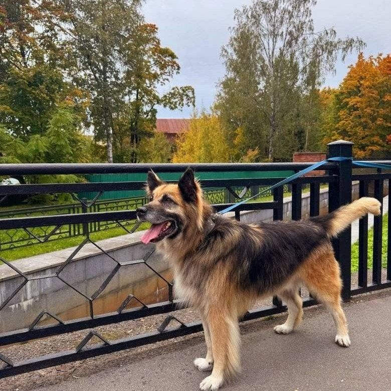 ��������������� �����: ��� ���� ������ ��������� ���������