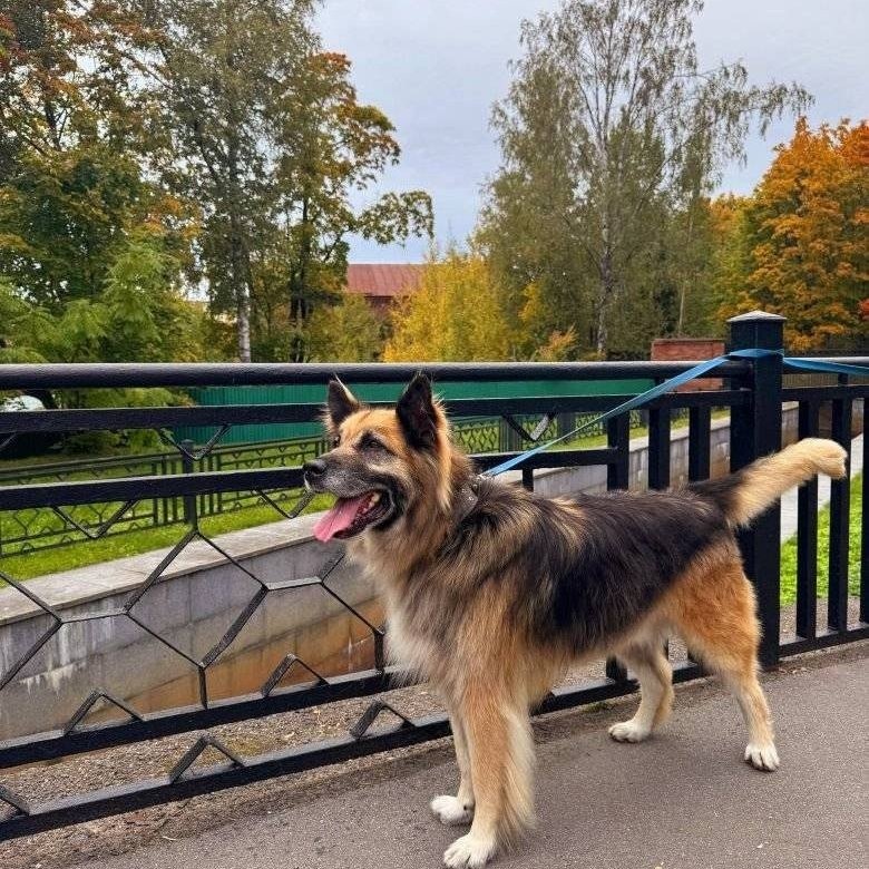 Психологический голод: Как наши страхи формируют поведение