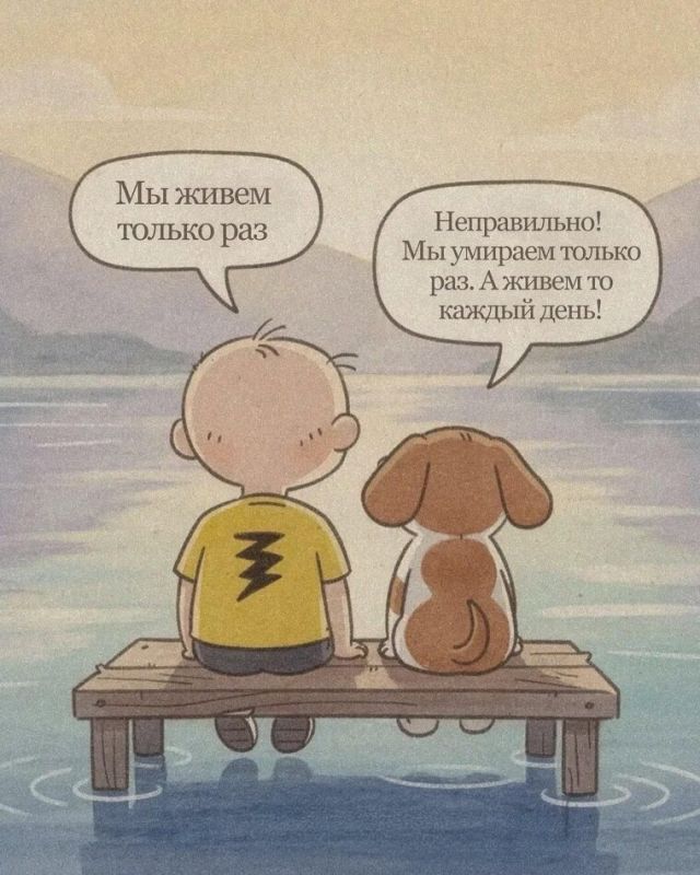 ������ ��� �� ������� 20 ���� �� ������������� ������