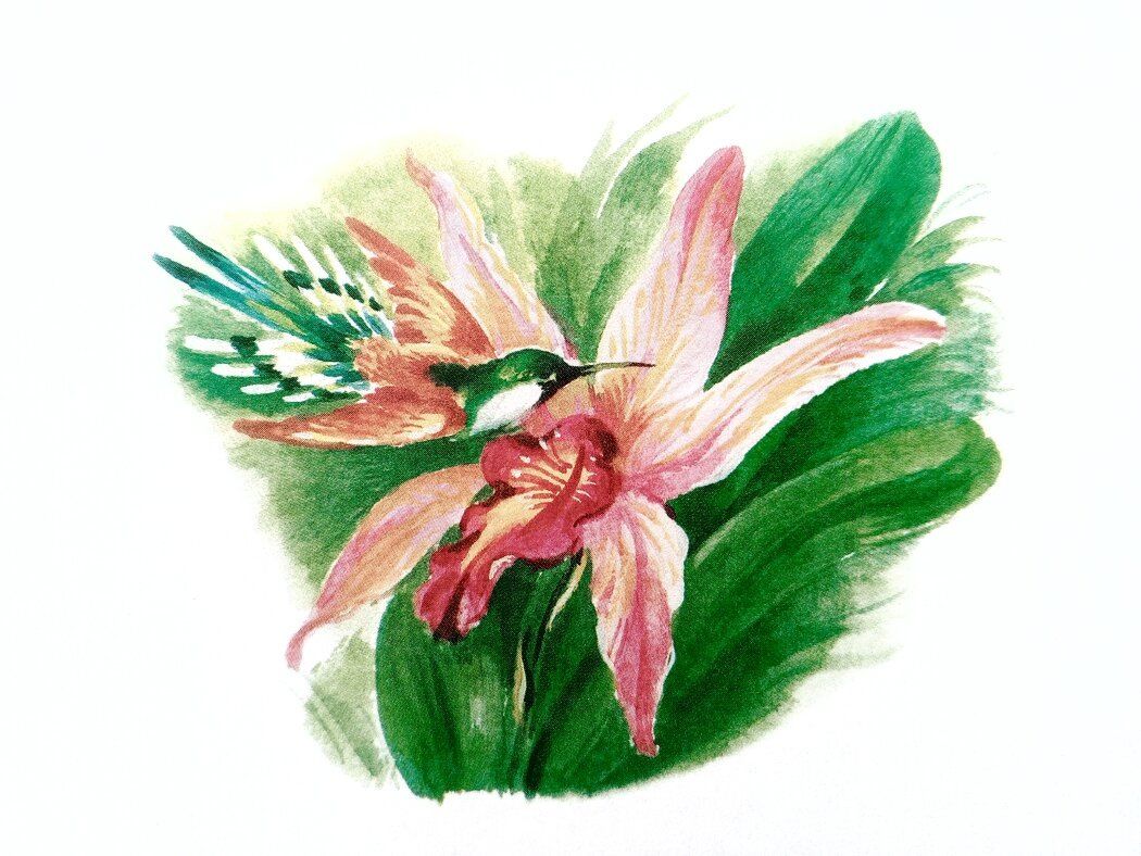 ����� � ��� ������������ ����������� � �������