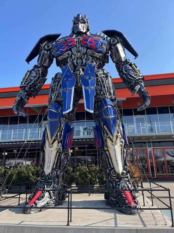 �� ����������� ���������: ������� � ���������� �������������� � �������������