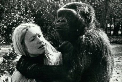 ������� ���� � � ������������ ��������� ������