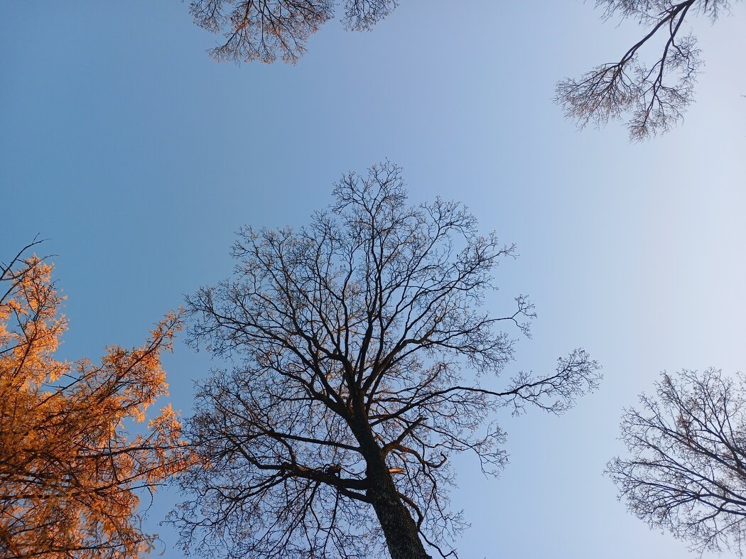 Способы преодоления тревоги: как вернуть душевное спокойствие