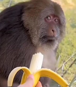 ������ ������ ��������� ��������� �� ����� ����: ������ ���������