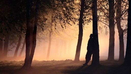 Путь к себе: как справиться с одиночеством и растерянностью