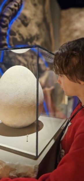 ��� ����� ������� � ������������ �������