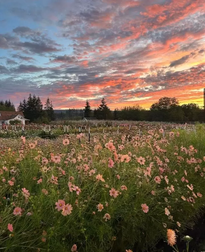 Обновление стиля: как весной почувствовать себя увереннее