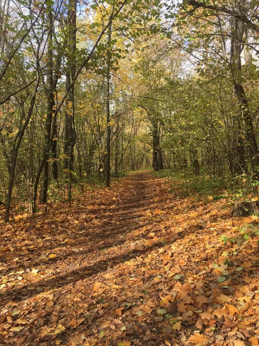 Почему нам легче любить негатив, чем радоваться жизни?