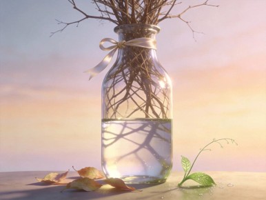 ��� ������� ������ �������: ������ �� �������������� ��������