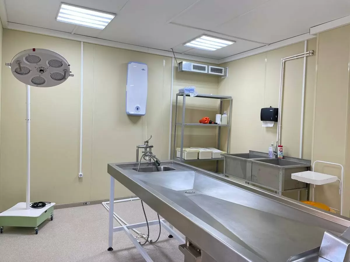 Морг: тайны слова и его удивительная эволюция