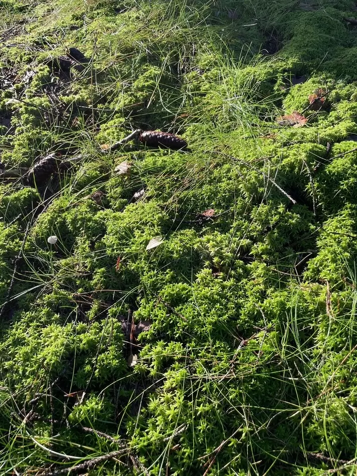 Тревожные знаки, что ваши финансовые отношения требуют внимания