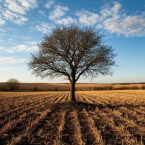 ����-������: ��� ������ ���������� �������� ��������� ���������� ���