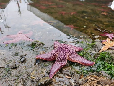 ������� �� ������!