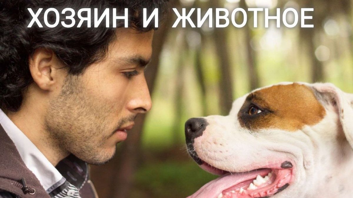��� �������� �������� �������� ����� ������