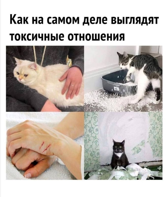 ��� ������������ �������� � ���������� � �����: ������� ���� � ��������