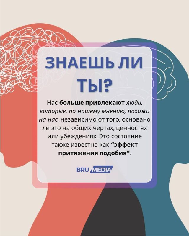 ����� ������� ������: ���������� � �� ������� �� ��������